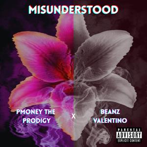 Misunderstood (Explicit)