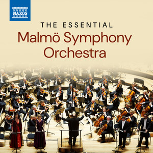 Piano Concerto No. 1 in D Major, Op. 17, R. 185 - Piano Concerto No. 1 in D Major, Op. 17, R. 185: II. Andante sostenuto, quasi adagio