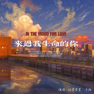 来过我生命的你封面