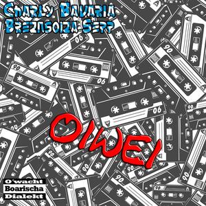 Oiwei (feat. BreznsoizaSepp) (Explicit)