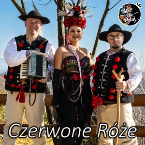 Czerwone róże