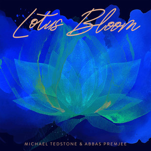 Lotus Bloom