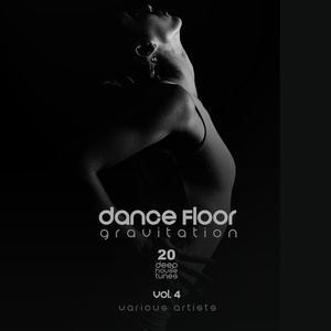 Dance Floor Gravitation, Vol. 4 (20 Deep House Tunes)