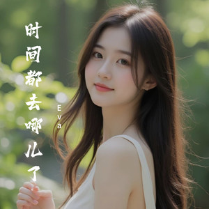 时间都去哪儿了封面