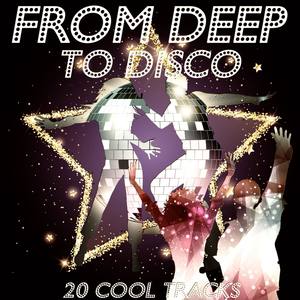 From Deep to Disco