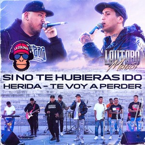 Si no te hubieras ido / Herida / Te voy a perder (En Vivo)