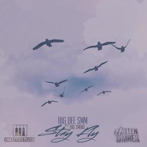 Stay Fly (feat. Big Smoke) [Explicit]