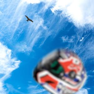 CASEY STONER (Explicit)