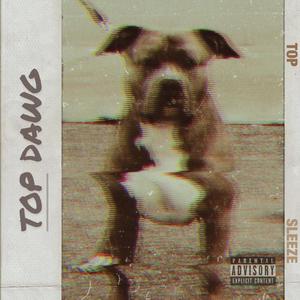 TOP DAWG (feat. Daboi Sleeze) [Explicit]