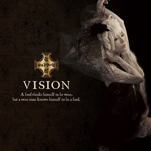 VISION (视觉)