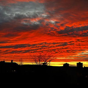 Me caí del cielo </3