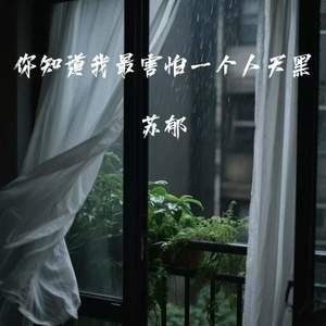 你知道我最害怕一个人天黑