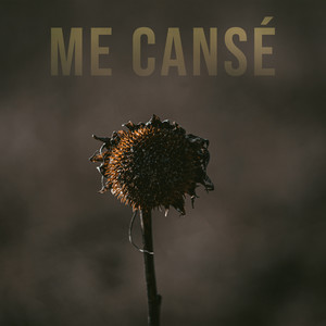 Me cansé