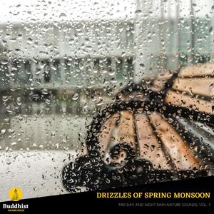 Drizzles of Spring Monsoon - Mid Day and Night Rain Nature Sounds, Vol. 7