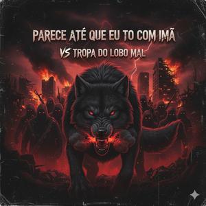 Parece até que eu to com imã vs Tropa do Lobo Mal (feat. Dj RW do Roseiral|Explicit)