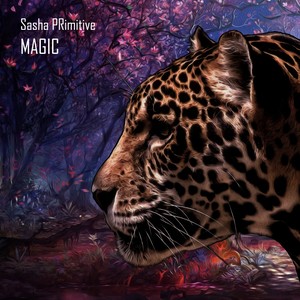 Sasha Primitive - We Can All The Night (Andrey Kravtsov Remix)