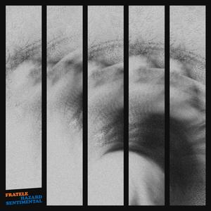 Singur (feat. Dsgahc & Peter Zaad)