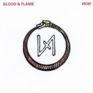 Fire In The Organism