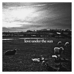 Love Under the Sun