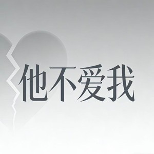 他不爱我 (R&B)