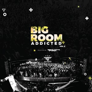 Bigroom Addicted Vol. 2