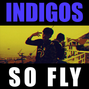 So Fly (Explicit)