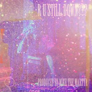 R U Still Down??? (feat. mixie d, rp hooks & baby shel) [Explicit]