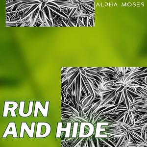 Run And Hide