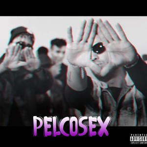 Pelcosex (Explicit)