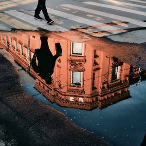 Fading Light(渐暗的光)-量子香菜