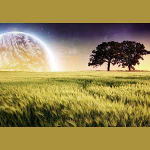 Something Just Like This (Remix)