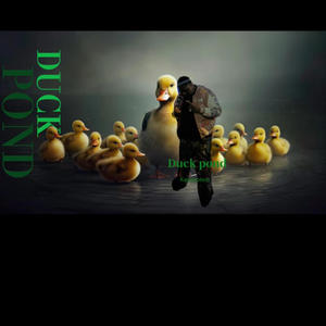 Duck pond (Explicit)