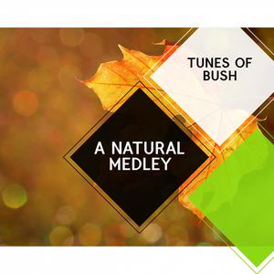 A Natural Medley - Tunes of Bush