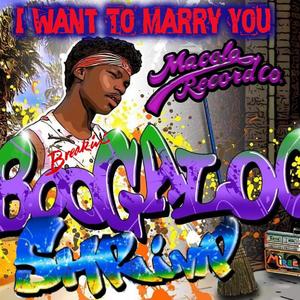 I Want To Marry You (DJ Flash Remix)