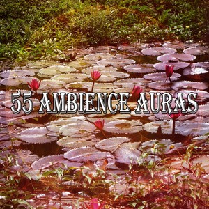 55 Ambience Auras