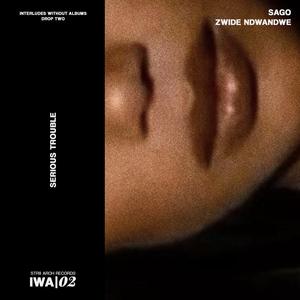 SERIOUS TROUBLE (feat. Zwide Serves Bass)
