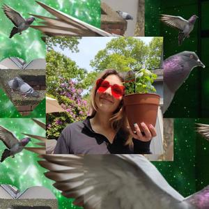 do the pigeons know? (feat. Emma Rose)