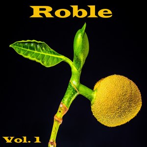 Roble, Vol. 1