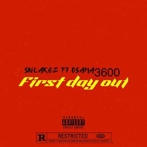 SneakGees (First Day Out) (Official Audio) (Explicit)