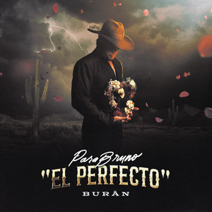 PARA BRUNO (EL PERFECTO) [Explicit]