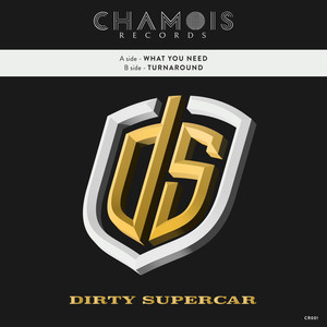 What You Need (Extended Mix)
