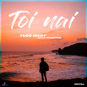 Toi Nai