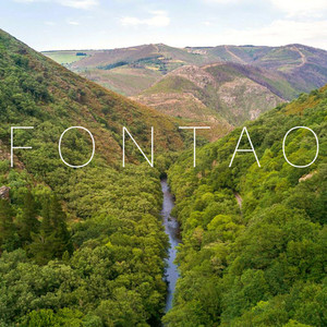 Deibit LDA - Fontao (Explicit)