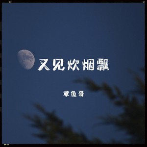 又见炊烟飘（月儿悄悄挂树梢）