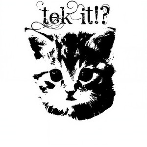Tek It!?