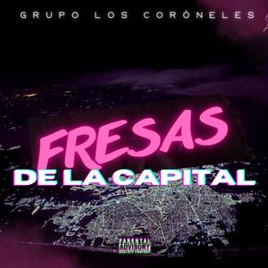 Fresas De La Capital