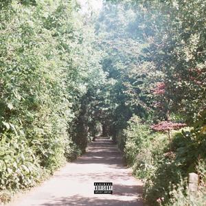Cole Palmer (Explicit)