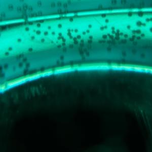 She Like That» (Explicit)