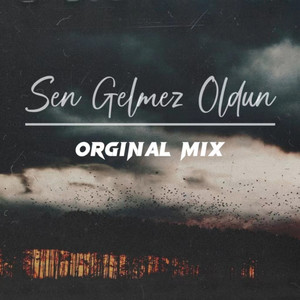 Sen Gelmez Oldun (Orginal Mix)