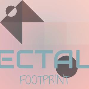 Ectal Footprint